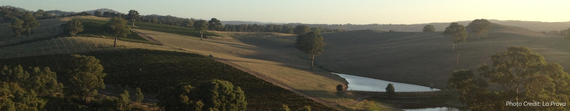 Adelaide Hills