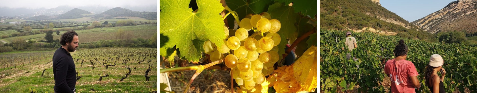 Domaine Nicolas Mariotti Bindi