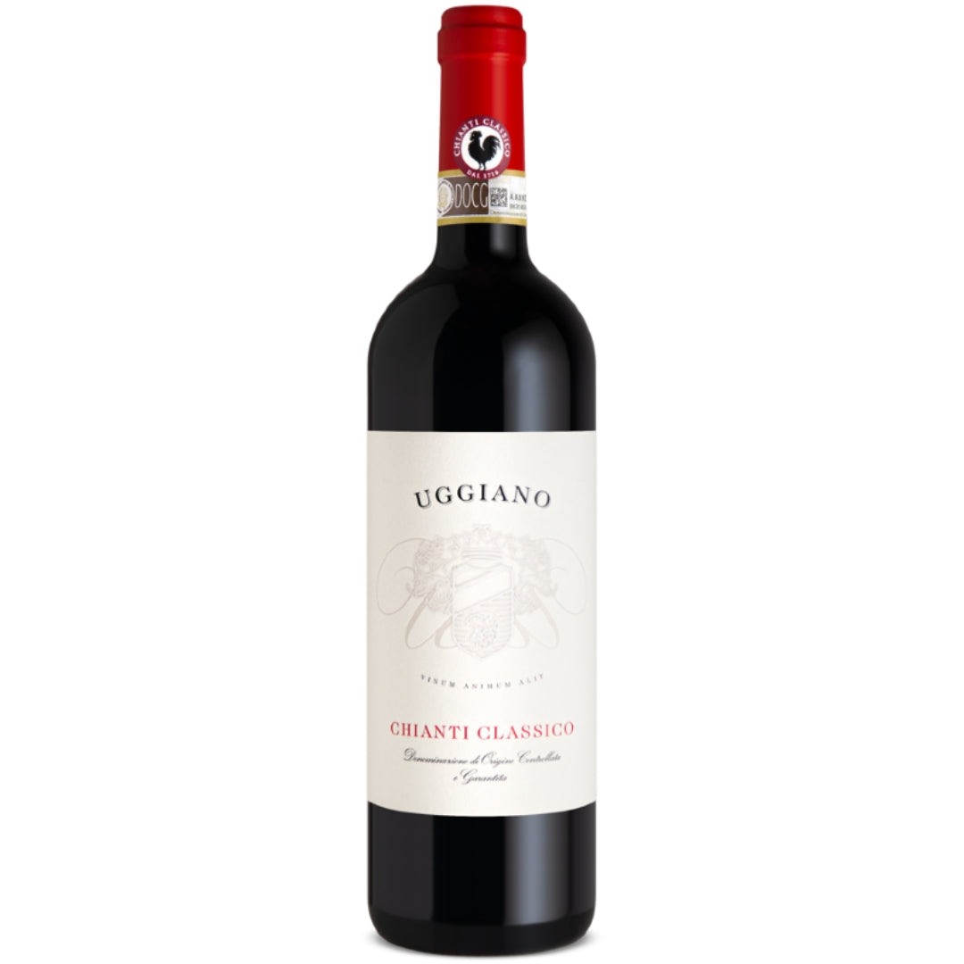 Italy Tuscany affordable medium body red wine