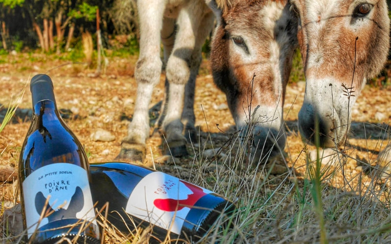 #MoritzRecommends – Celebrate Bastille Day with French Vintage Wines