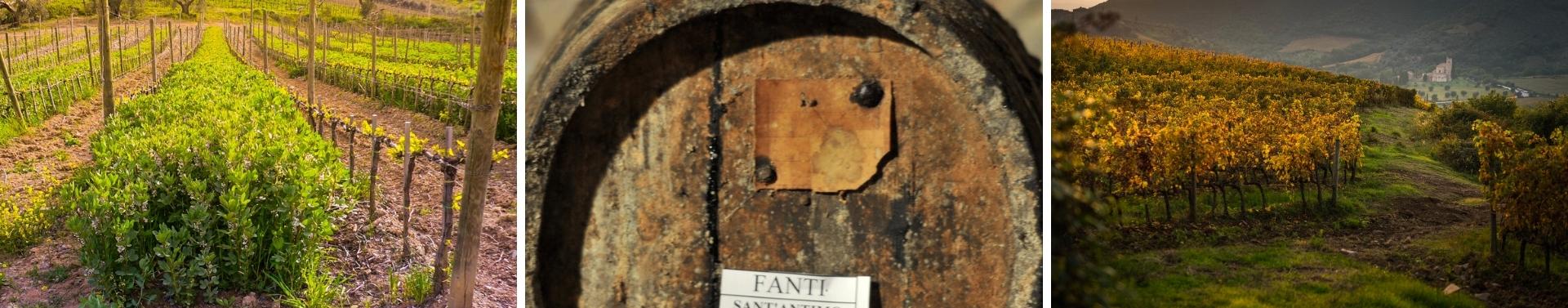 Fanti Straits Wine SG