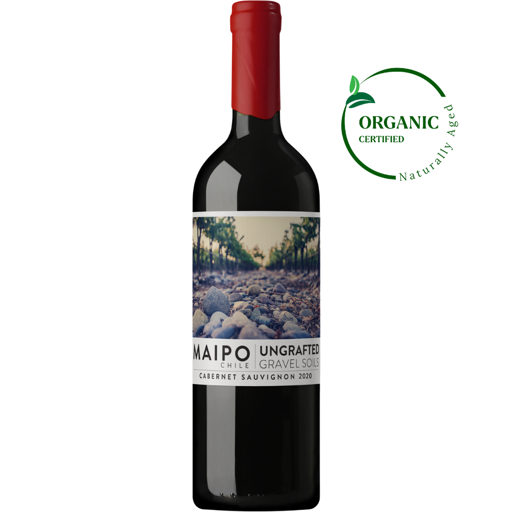 Ungrafted Cabernet Sauvignon 2020
